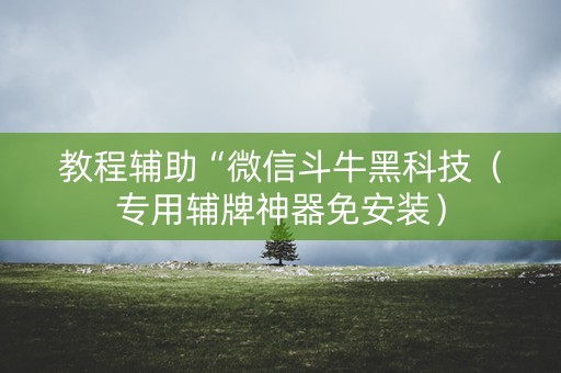 教程辅助“微信斗牛黑科技（专用辅牌神器免安装）