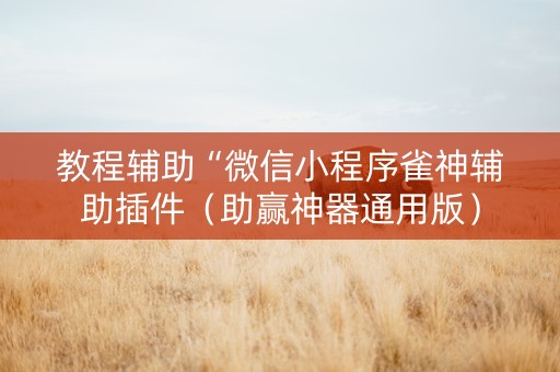 教程辅助“微信小程序雀神辅助插件（助赢神器通用版）
