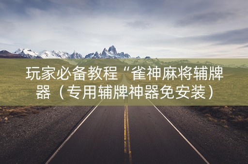 玩家必备教程“雀神麻将辅牌器（专用辅牌神器免安装）