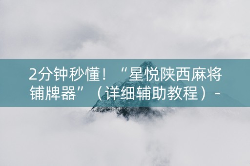 2分钟秒懂！“星悦陕西麻将铺牌器”（详细辅助教程）-哔哩哔哩