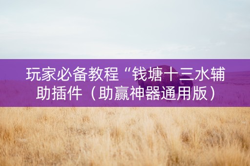 玩家必备教程“钱塘十三水辅助插件（助赢神器通用版）
