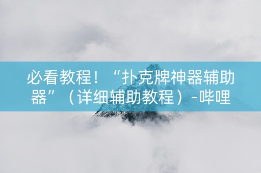 必看教程！“扑克牌神器辅助器”（详细辅助教程）-哔哩哔哩