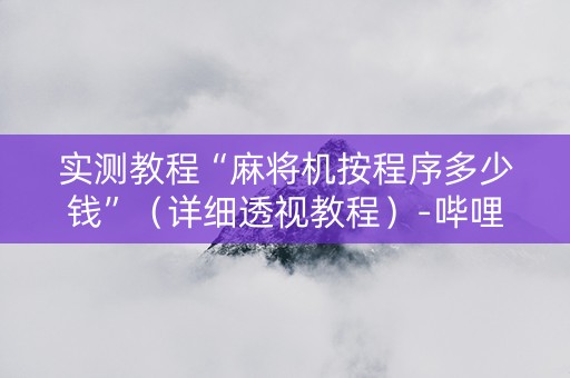 实测教程“麻将机按程序多少钱”（详细透视教程）-哔哩哔哩