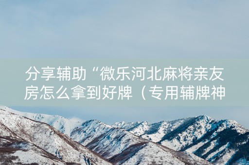 分享辅助“微乐河北麻将亲友房怎么拿到好牌（专用辅牌神器免安装）