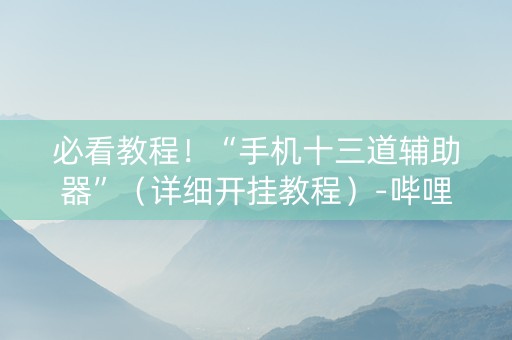 必看教程！“手机十三道辅助器”（详细开挂教程）-哔哩哔哩