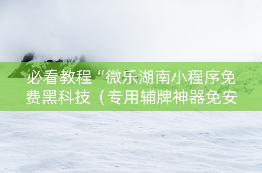 必看教程“微乐湖南小程序免费黑科技（专用辅牌神器免安装）