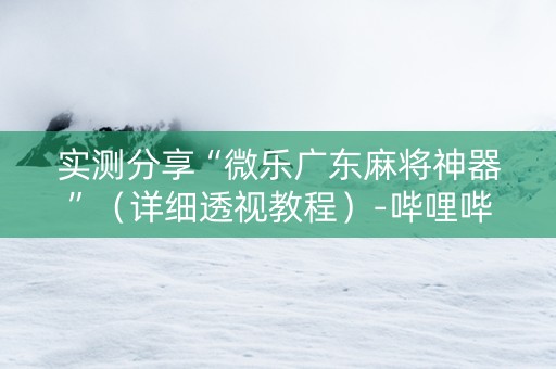 实测分享“微乐广东麻将神器”（详细透视教程）-哔哩哔哩