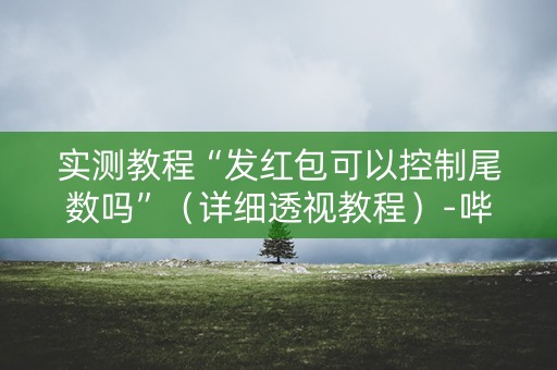 实测教程“发红包可以控制尾数吗”（详细透视教程）-哔哩哔哩
