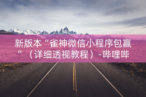新版本“雀神微信小程序包赢”（详细透视教程）-哔哩哔哩