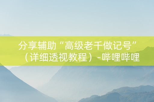 分享辅助“高级老千做记号”（详细透视教程）-哔哩哔哩
