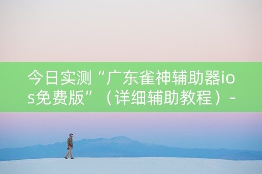 今日实测“广东雀神辅助器ios免费版”（详细辅助教程）-哔哩哔哩