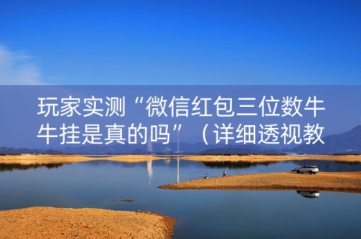 玩家实测“微信红包三位数牛牛挂是真的吗”（详细透视教程）-哔哩哔哩