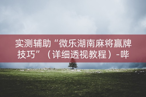 实测辅助“微乐湖南麻将赢牌技巧”（详细透视教程）-哔哩哔哩