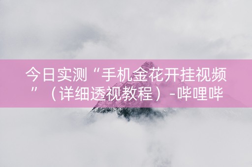 今日实测“手机金花开挂视频”（详细透视教程）-哔哩哔哩