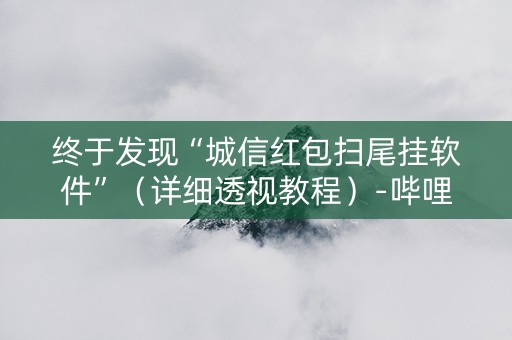 终于发现“城信红包扫尾挂软件”（详细透视教程）-哔哩哔哩