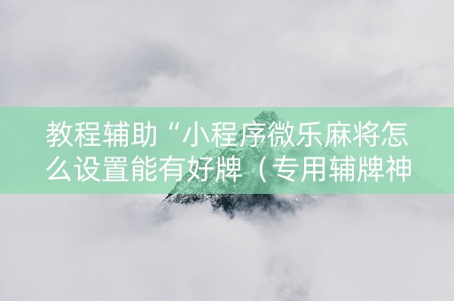 教程辅助“小程序微乐麻将怎么设置能有好牌（专用辅牌神器免安装）