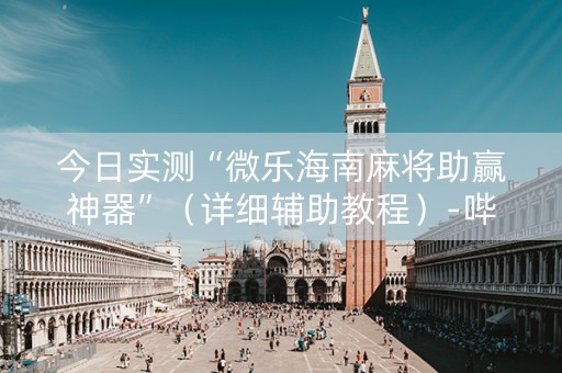 今日实测“微乐海南麻将助赢神器”（详细辅助教程）-哔哩哔哩