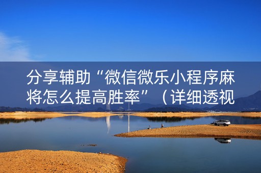 分享辅助“微信微乐小程序麻将怎么提高胜率”（详细透视教程）-哔哩哔哩