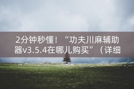 2分钟秒懂！“功夫川麻辅助器v3.5.4在哪儿购买”（详细辅助教程）-哔哩哔哩