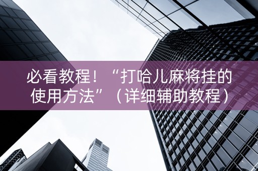 必看教程！“打哈儿麻将挂的使用方法”（详细辅助教程）-哔哩哔哩