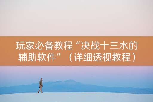 玩家必备教程“决战十三水的辅助软件”（详细透视教程）-哔哩哔哩