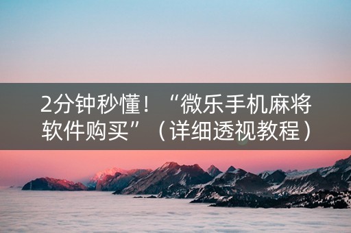2分钟秒懂！“微乐手机麻将软件购买”（详细透视教程）-哔哩哔哩