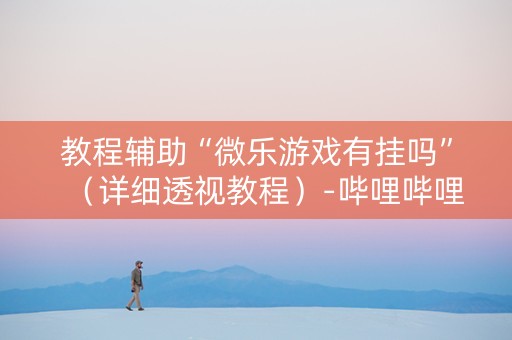 教程辅助“微乐游戏有挂吗”（详细透视教程）-哔哩哔哩