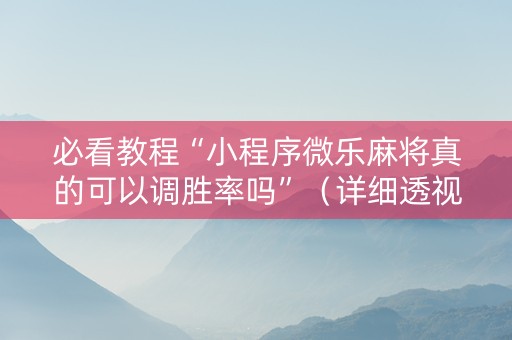 必看教程“小程序微乐麻将真的可以调胜率吗”（详细透视教程）-哔哩哔哩