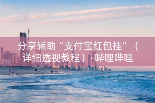 分享辅助“支付宝红包挂”（详细透视教程）-哔哩哔哩
