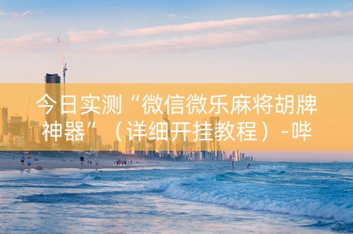 今日实测“微信微乐麻将胡牌神器”（详细开挂教程）-哔哩哔哩