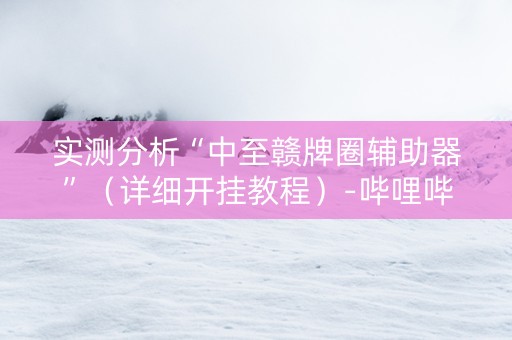 实测分析“中至赣牌圈辅助器”（详细开挂教程）-哔哩哔哩