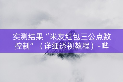 实测结果“米友红包三公点数控制”（详细透视教程）-哔哩哔哩