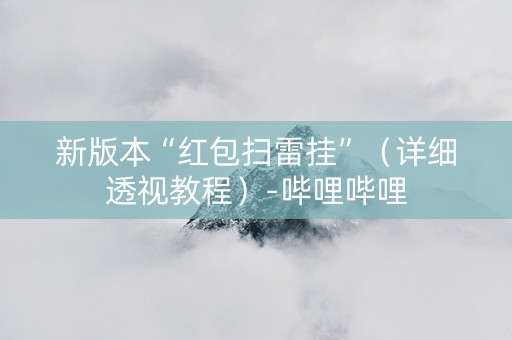 新版本“红包扫雷挂”（详细透视教程）-哔哩哔哩