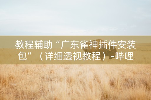 教程辅助“广东雀神插件安装包”（详细透视教程）-哔哩哔哩