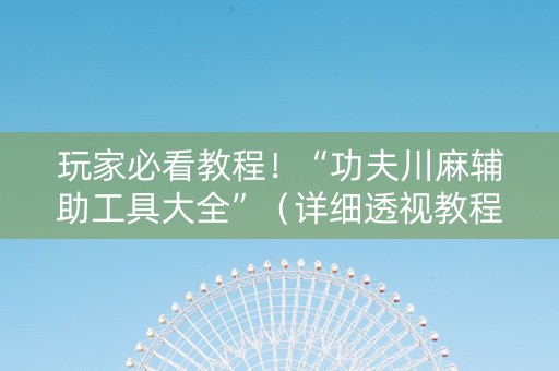 玩家必看教程！“功夫川麻辅助工具大全”（详细透视教程）-哔哩哔哩