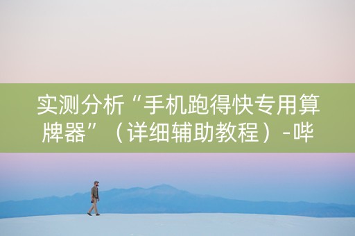 实测分析“手机跑得快专用算牌器”（详细辅助教程）-哔哩哔哩