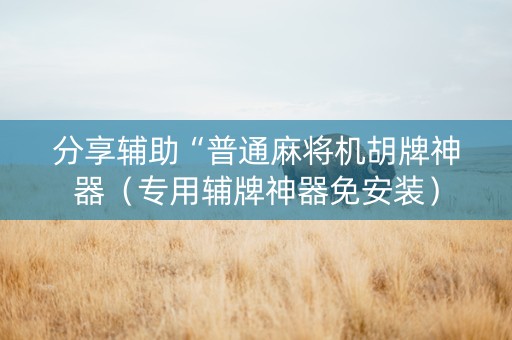 分享辅助“普通麻将机胡牌神器（专用辅牌神器免安装）