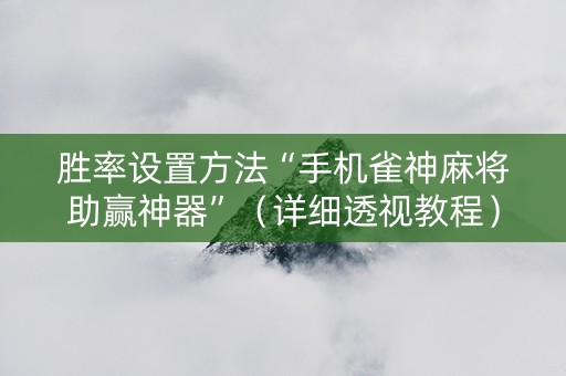 胜率设置方法“手机雀神麻将助赢神器”（详细透视教程）-哔哩哔哩