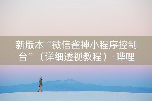 新版本“微信雀神小程序控制台”（详细透视教程）-哔哩哔哩