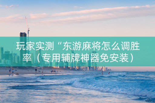 玩家实测“东游麻将怎么调胜率（专用辅牌神器免安装）