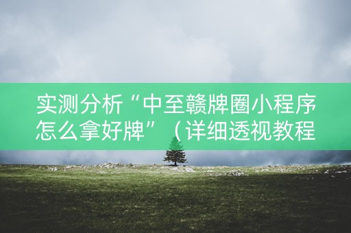实测分析“中至赣牌圈小程序怎么拿好牌”（详细透视教程）-哔哩哔哩