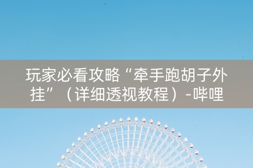 玩家必看攻略“牵手跑胡子外挂”（详细透视教程）-哔哩哔哩