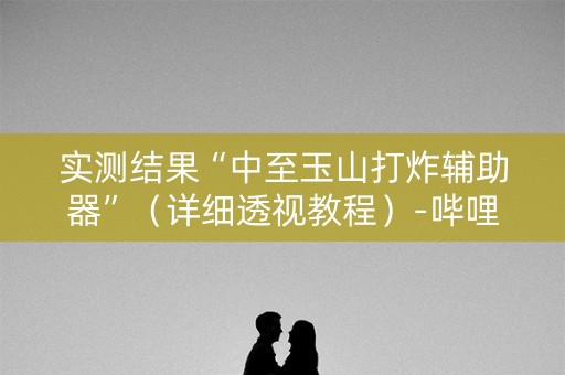 实测结果“中至玉山打炸辅助器”（详细透视教程）-哔哩哔哩