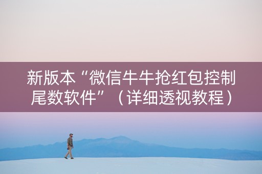 新版本“微信牛牛抢红包控制尾数软件”（详细透视教程）-哔哩哔哩