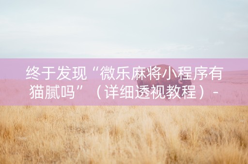 终于发现“微乐麻将小程序有猫腻吗”（详细透视教程）-哔哩哔哩