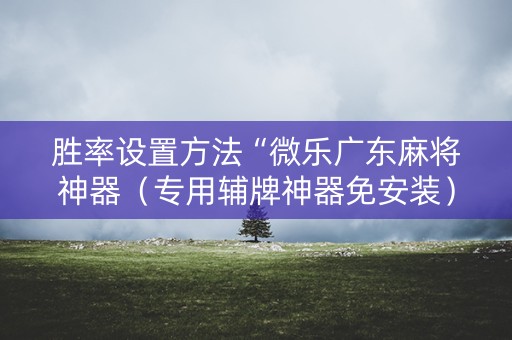 胜率设置方法“微乐广东麻将神器（专用辅牌神器免安装）