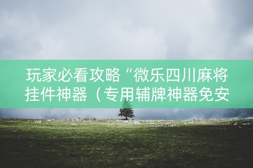 玩家必看攻略“微乐四川麻将挂件神器（专用辅牌神器免安装）