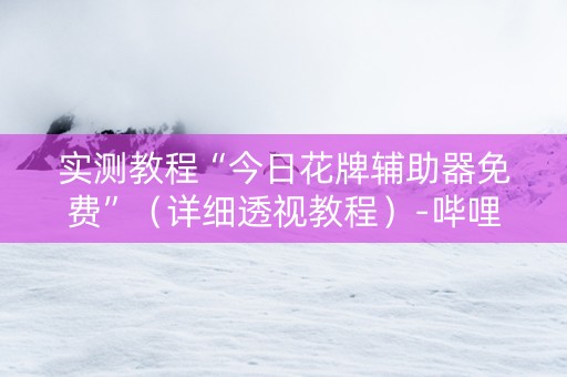 实测教程“今日花牌辅助器免费”（详细透视教程）-哔哩哔哩