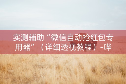 实测辅助“微信自动抢红包专用器”（详细透视教程）-哔哩哔哩