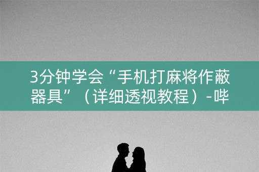 3分钟学会“手机打麻将作蔽器具”（详细透视教程）-哔哩哔哩